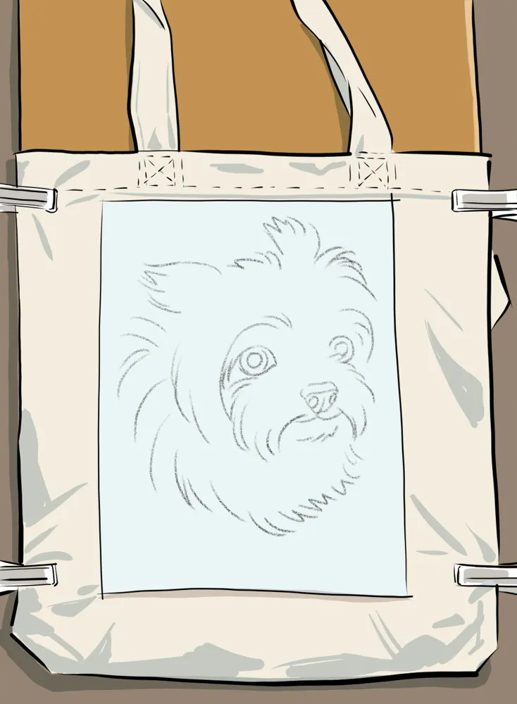 PEINTURE SUR TISSU : LES 7 ÉTAPES POUR RÉUSSIR ! 3 Tote bag avec un carton glissé à l’intérieur, maintenu par des pinces à linge