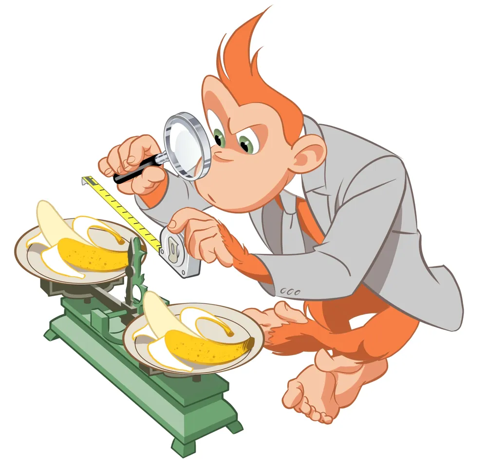 La mascotte Jocko, un orang-outan, compare deux bananes identiques à l'aide d'une loupe