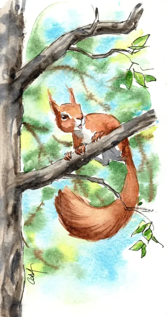 Illustration réaliste à l'aquarelle d'un écureuil roux en équilibre sur une branche, la queue en arc gracieux
