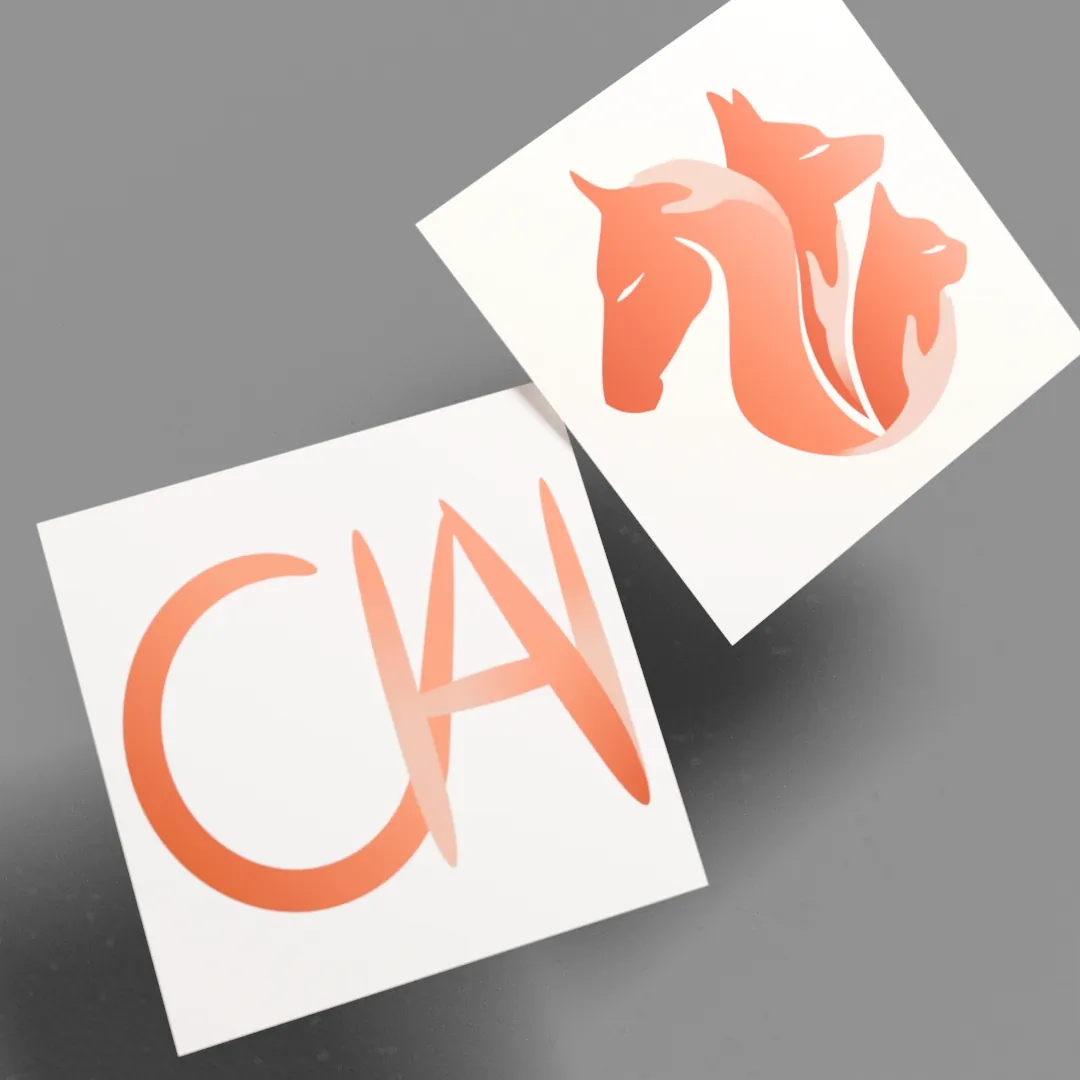 Logo et identité visuelle illustrée pour masseuse équin canin félin – Coda Illustration