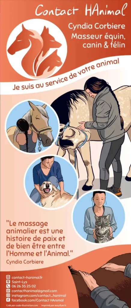 Kakémono illustré en style BD pour Contact HAnimal, présentant Cyndia Corbiere en train de masser un cheval, un chien et un chat